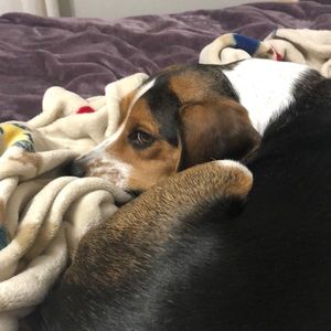 Meet your Posher, Jacob